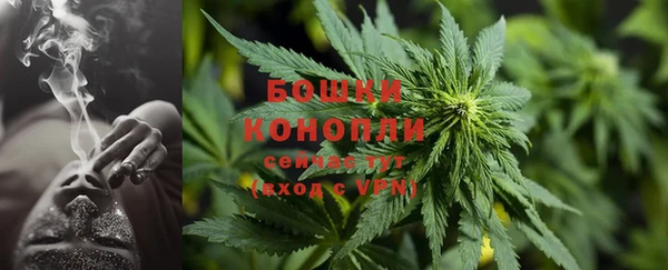 гашиш Богданович
